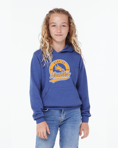 Bella Canvas Youth Hoodie Hawks Circle